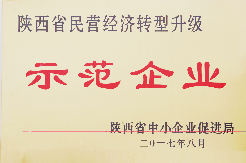 陜西省民營經(jīng)濟(jì)轉(zhuǎn)型升級(jí)示范企業(yè)